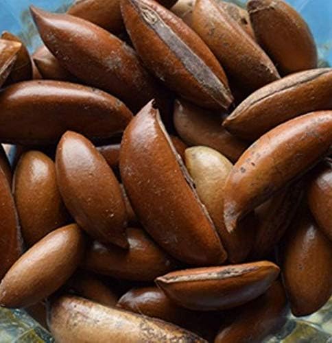 Mahua seeds supplier in India